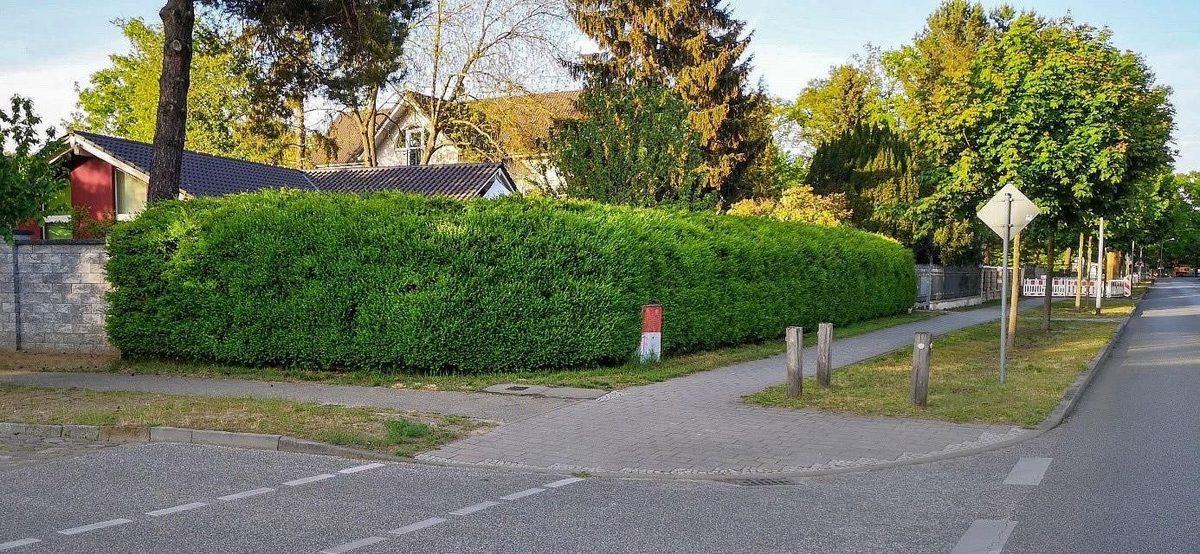 Pantalla VG-E vegetalizada en un cruce viario de zona residencial